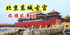 www骚B中国北京-东城古宫旅游风景区